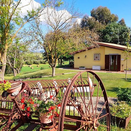 Agriturismo La Sorgente 폰테블란다 외부 사진