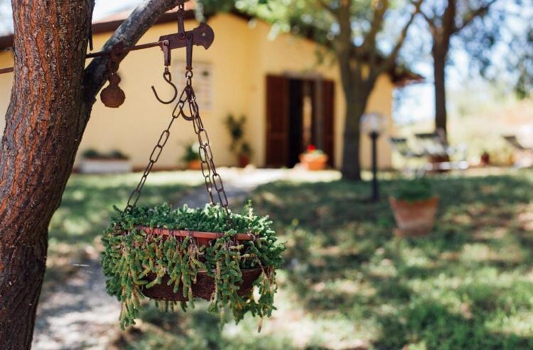 Agriturismo La Sorgente 폰테블란다 외부 사진
