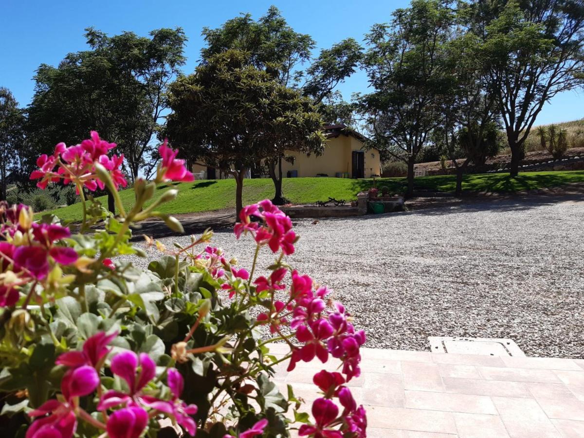 Agriturismo La Sorgente 폰테블란다 외부 사진