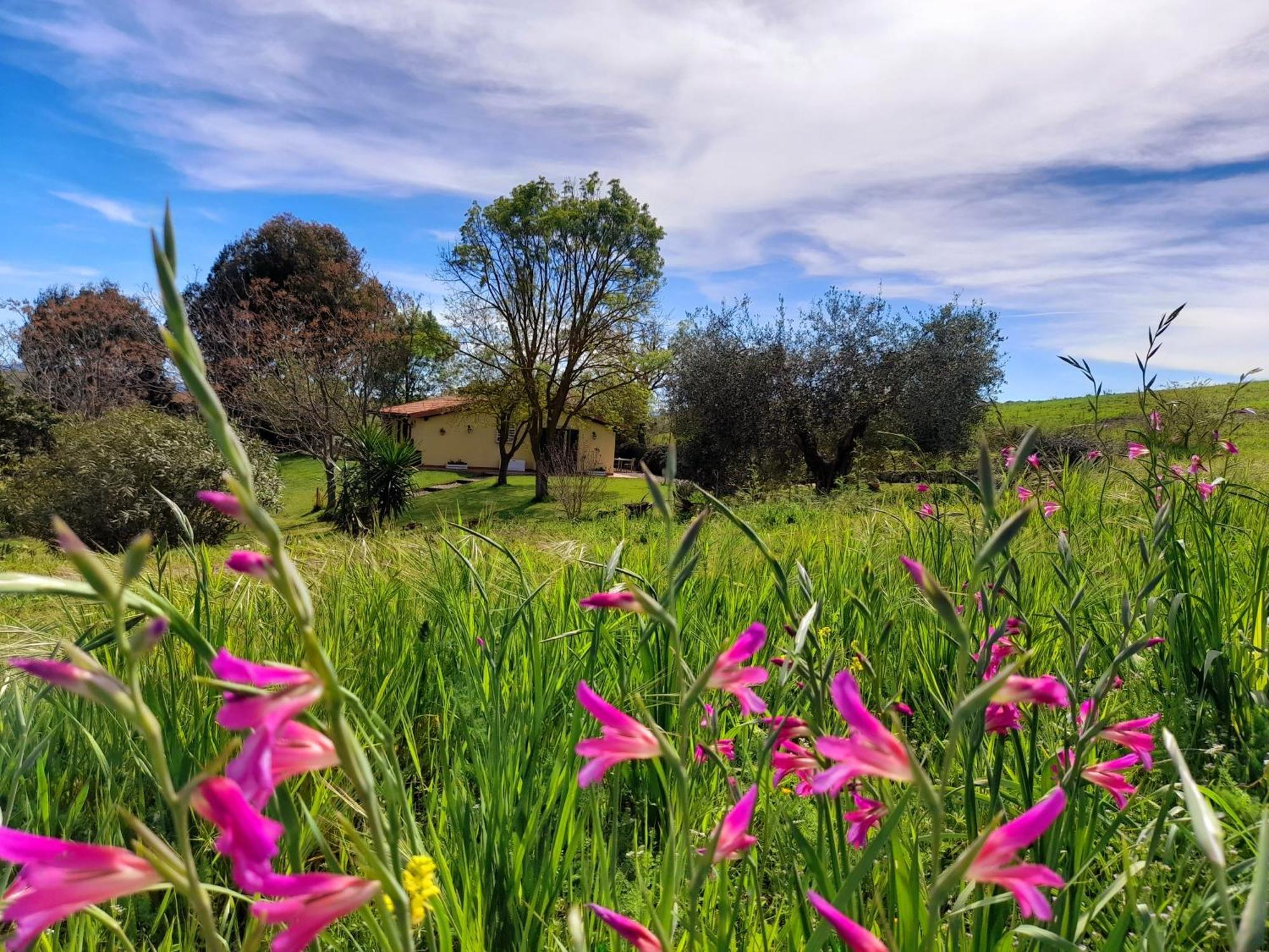 Agriturismo La Sorgente 폰테블란다 외부 사진