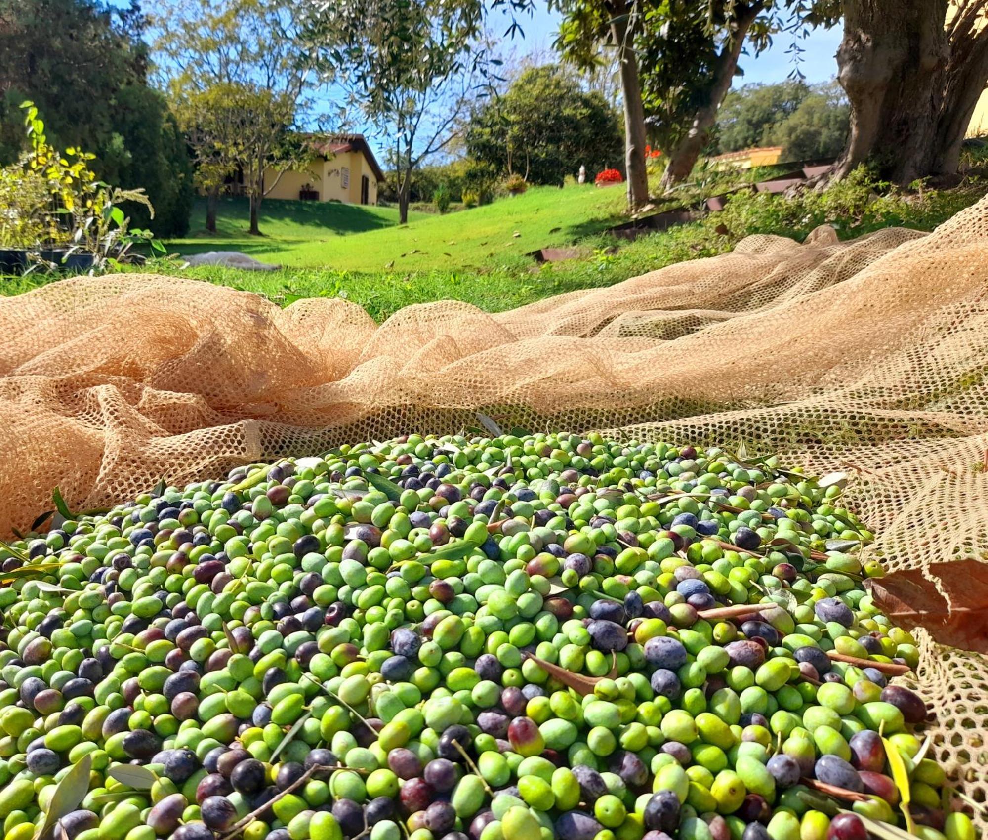 Agriturismo La Sorgente 폰테블란다 외부 사진